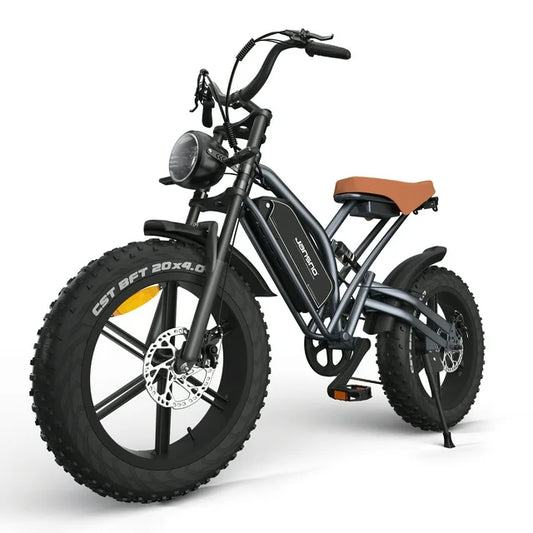 Arnahaishe 20" 4.0 Fat Tire Electric Bike for Adults, 750W Adults E Bike, 48V 14Ah Removable Li-Ion Battery, Professional 7-Speed, Electric Mountain Bicycle Beach Bike Snow Bike Ebike for Men